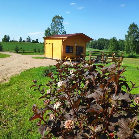 Вилла Zubites - 3 Berzgale Экстерьер фото